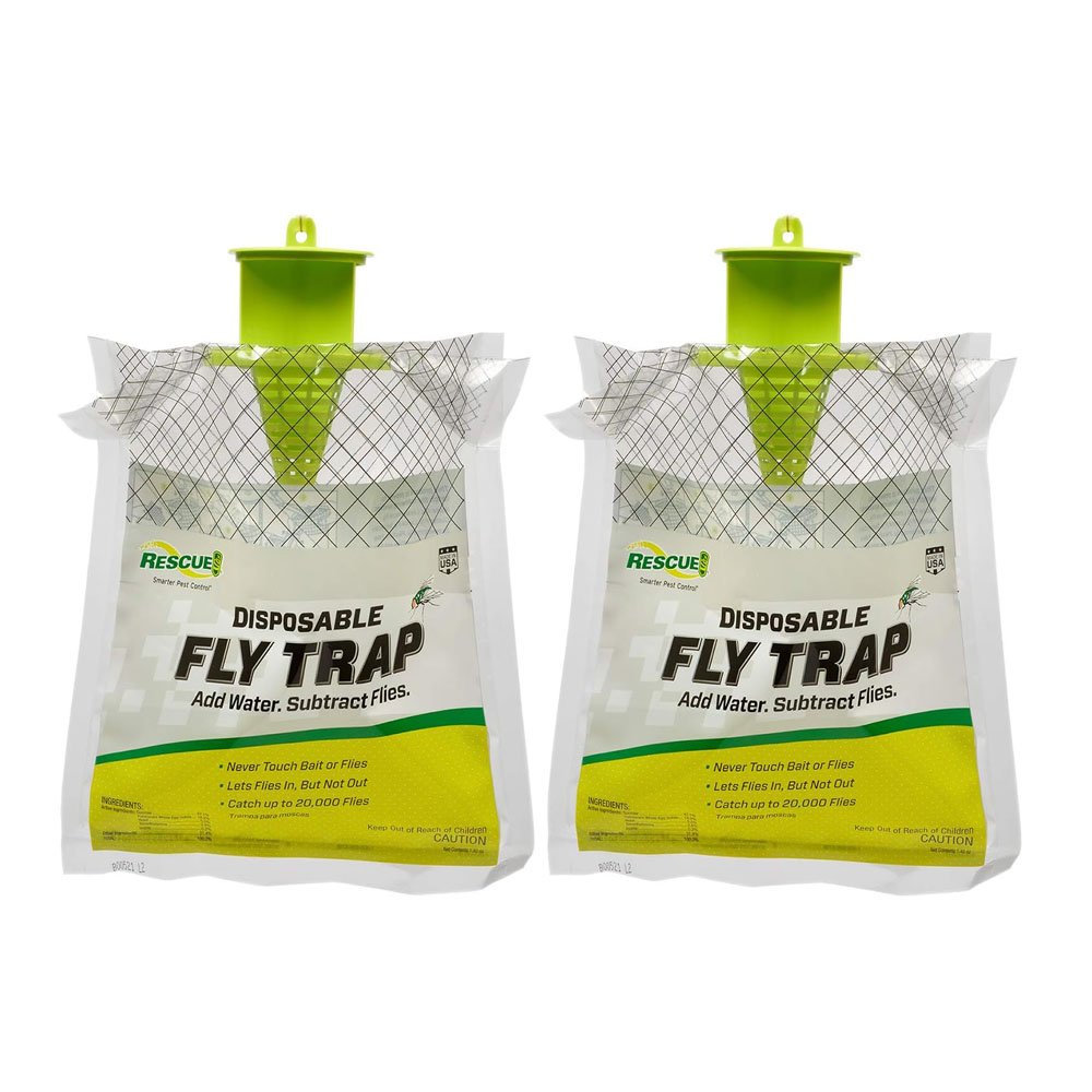fly1.jpg